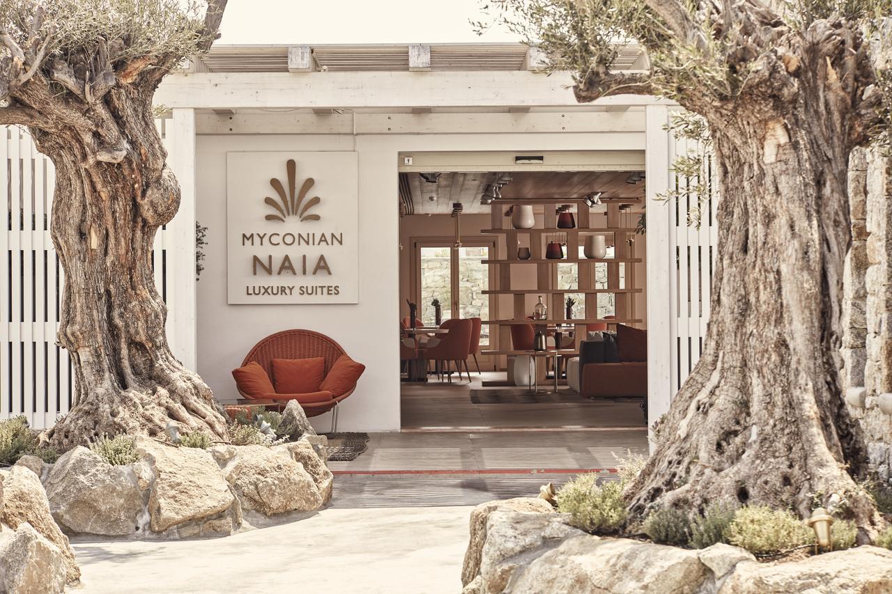 Myconian Naia - Preferred Hotels & Resorts (Adults Only) Mykonos Town Екстер'єр фото